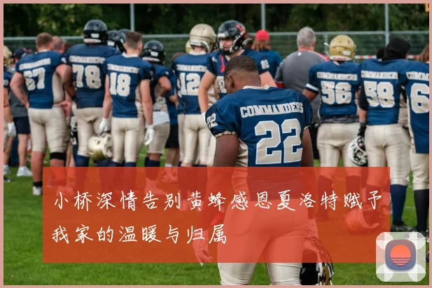 小桥深情告别黄蜂感恩夏洛特赋予我家的温暖与归属