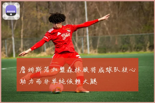 詹姆斯若加盟森林狼将成球队核心助力而非单纯依赖大腿